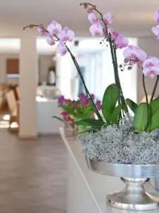 Hotel Myminga13 - & Serviced 3*